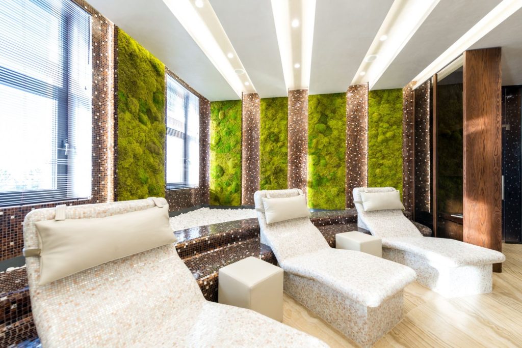 Tiled heated chaise lounges placed on wooden floor in modern spacious spa center decorated with green plants on walls and bright lamps