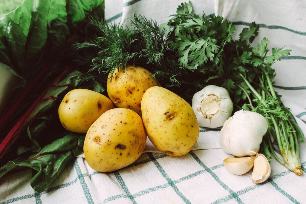 Close-up of fresh potatoes, garlic, and herbs on a green checkered cloth.