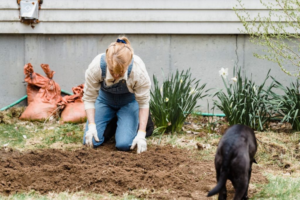 Unrecognizable female gardener in casual clothes and gloves sitting on ground near plants and house in garden with dog