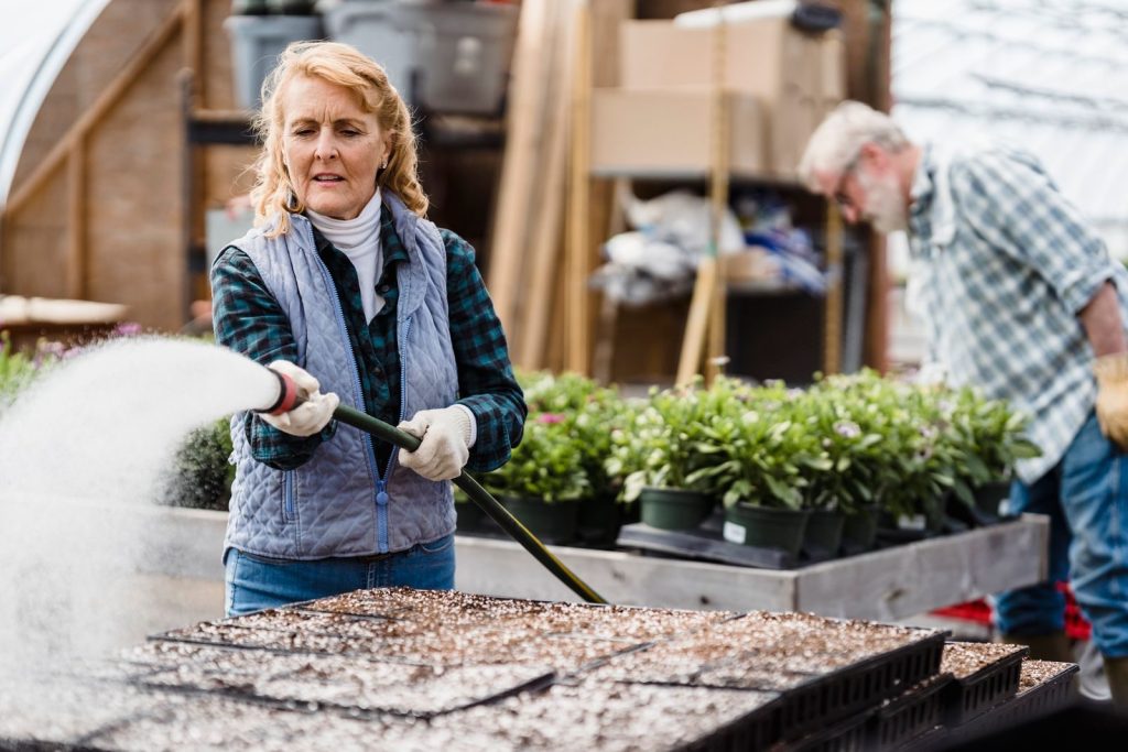 Senior woman watering plants in a greenhouse, focusing on growth.
