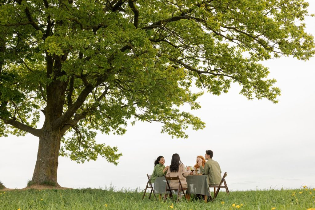 Friends enjoying a picnic under a large oak tree outdoors on a sunny day.