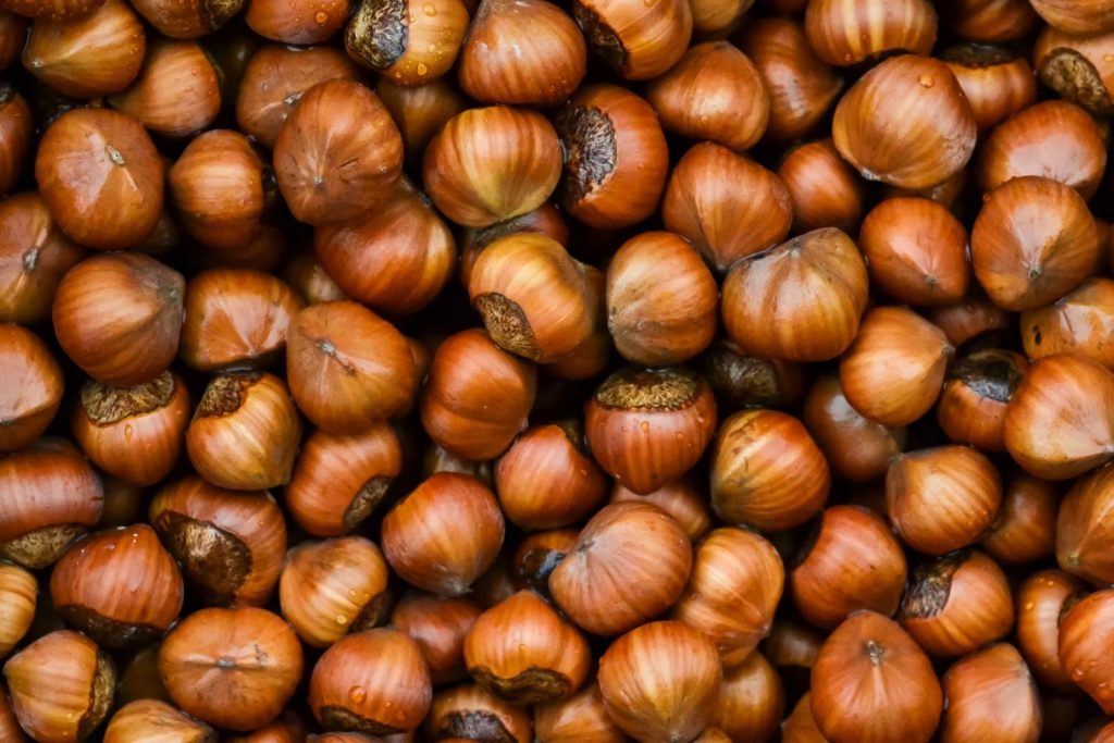 High-quality close-up image of fresh hazelnuts showcasing their natural texture and earthy tones.