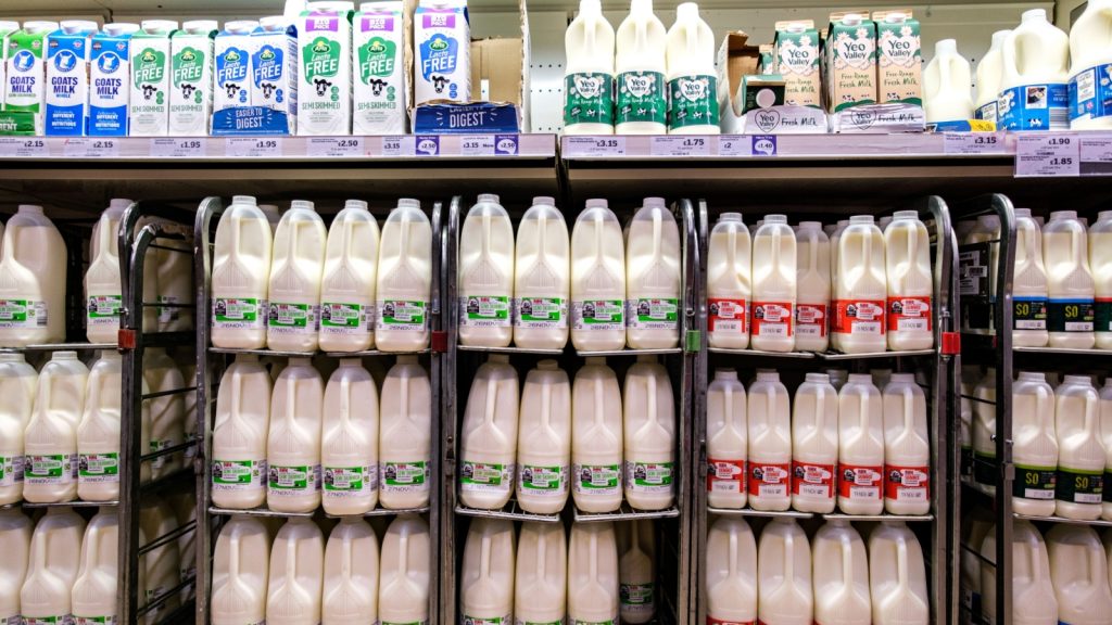 London UK, November 16 2025, Display Of Selection Of Fresh Healthy Milk Cartons