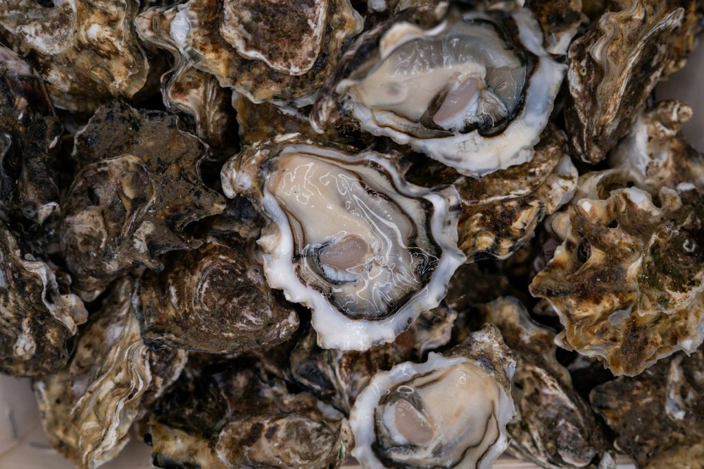 a pile of oysters sitting on top of each other