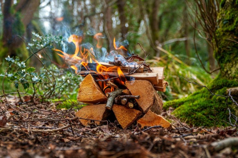 A small campfire burns in the woods.