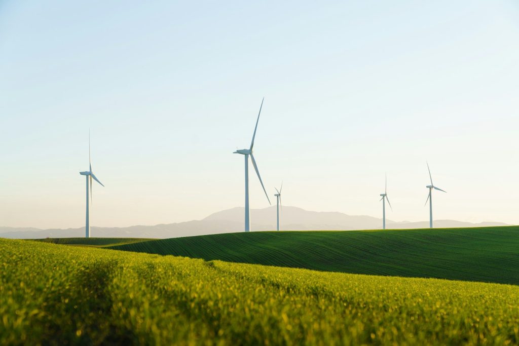 a field of green grass with wind turbines in the background
