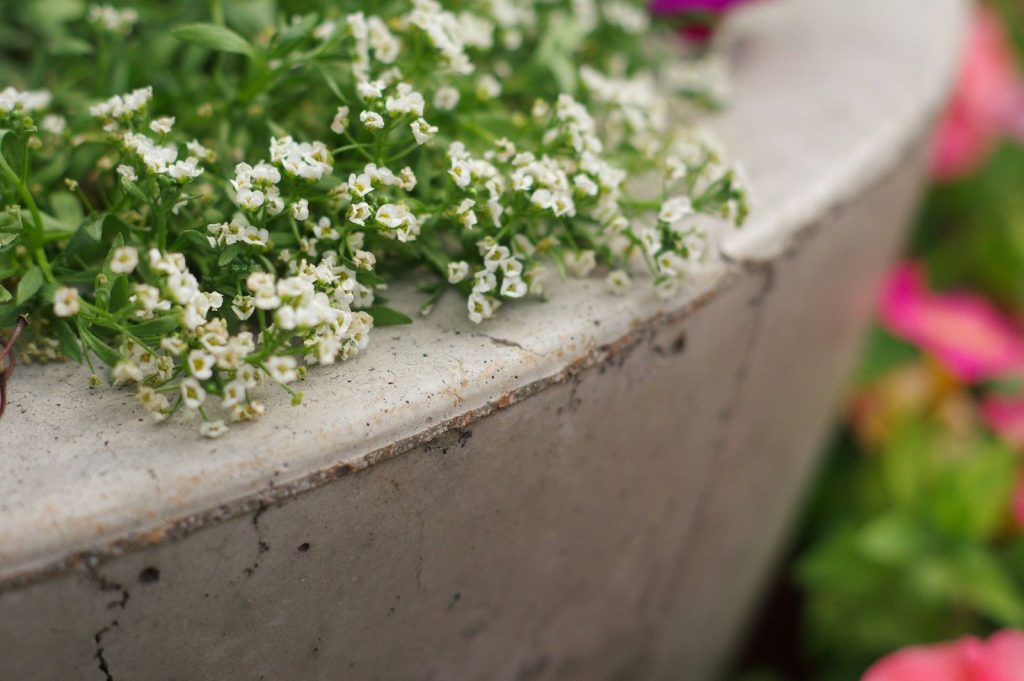 A close up of a cement planter with flowers in the background