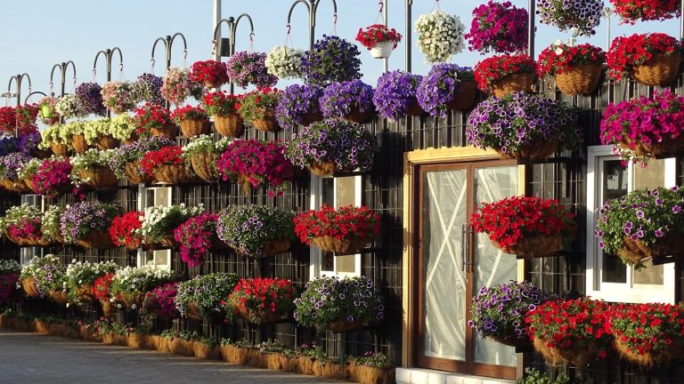 flower arrangements on wall