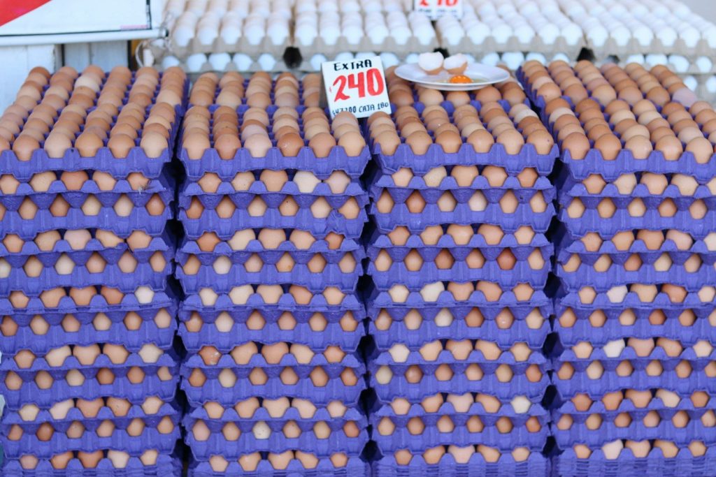 Fresh eggs are neatly stacked in egg cartons.