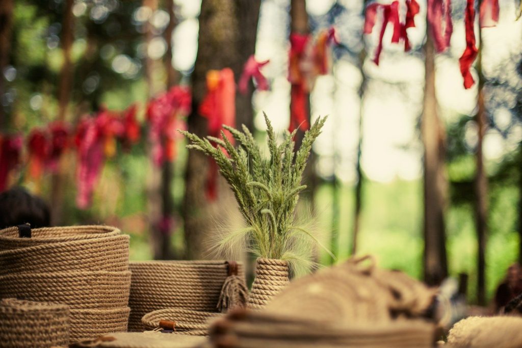 a group of baskets with plants in them