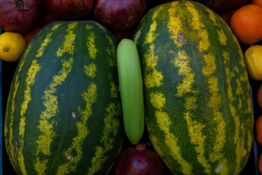 Two watermelons and a banana withering banana
