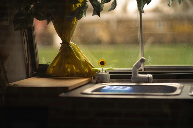 A small sunflower sits by a kitchen sink window.
