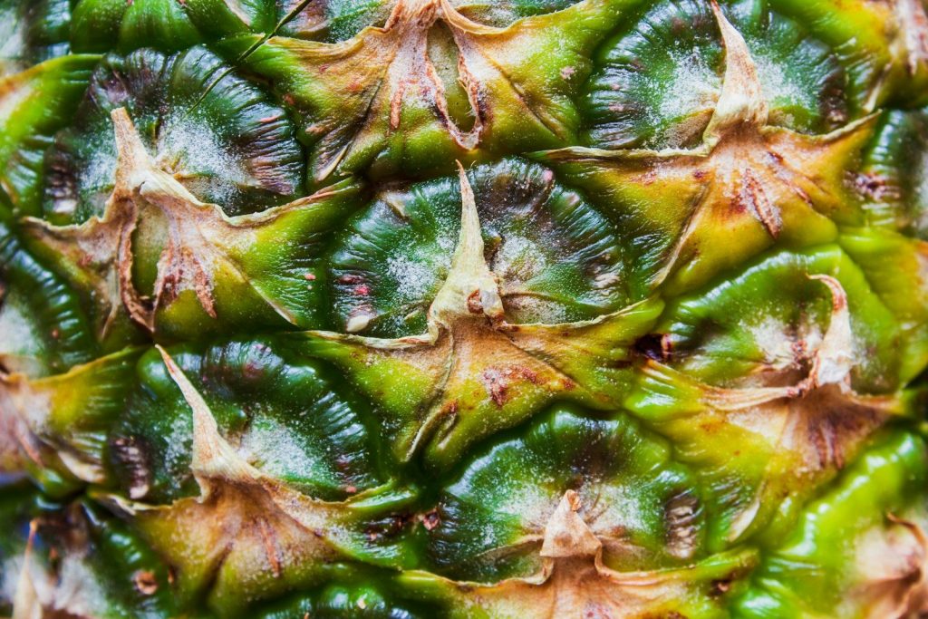 green and yellow pineapple fruit