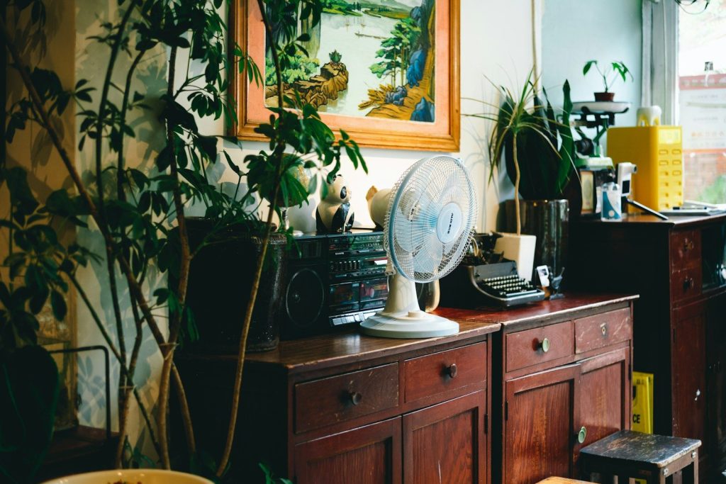 a room with a fan and plants