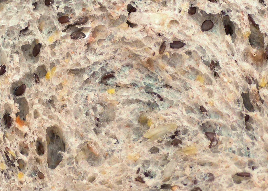 brown and white rock formation