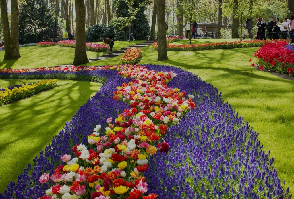Vibrant flower path winding through a lush green garden.
