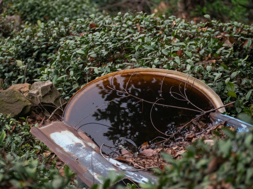 A rusty metal basin filled with dark water