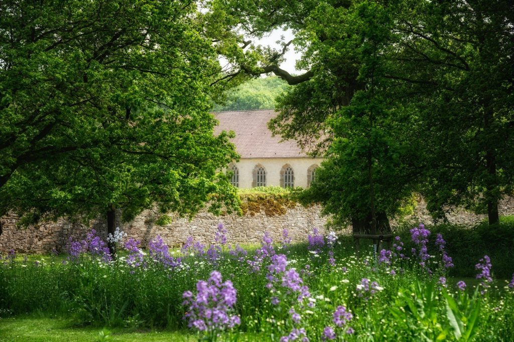 purple flowers near green trees and brown concrete building during daytime