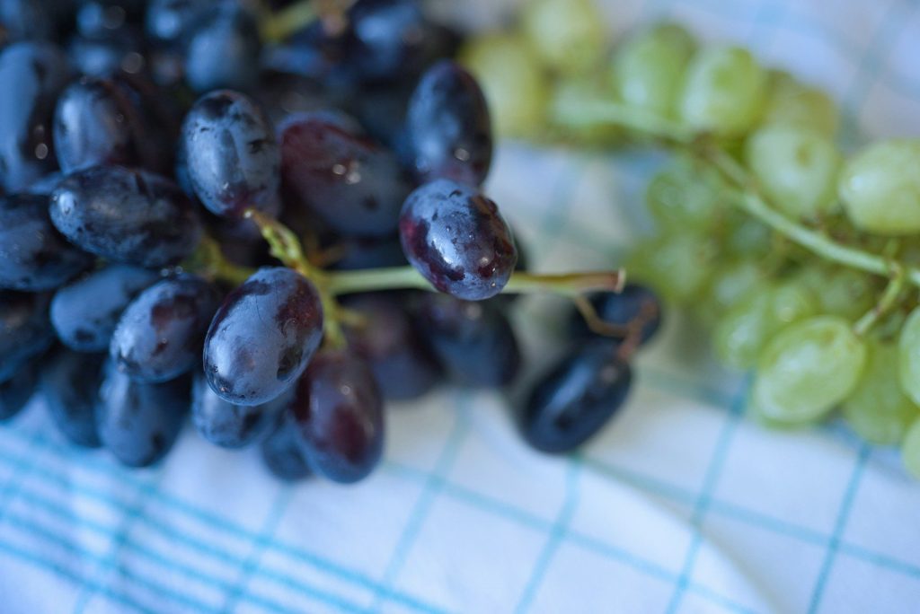 Clusters of black and green grapes are in view.