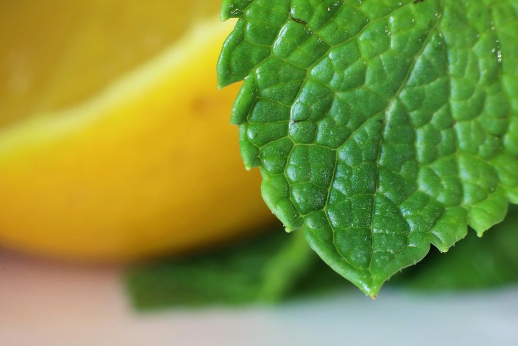 a close up of a green leaf next to a yellow lemon