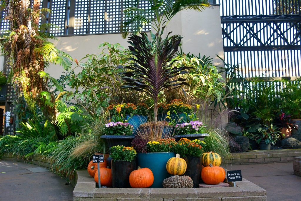 green plants on brown clay pots