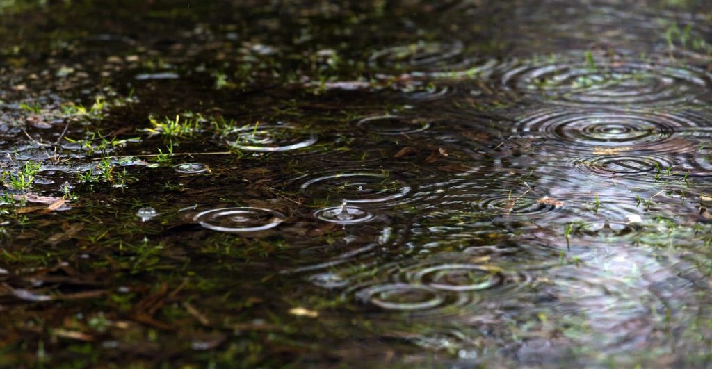 a close up of rain drops on the ground