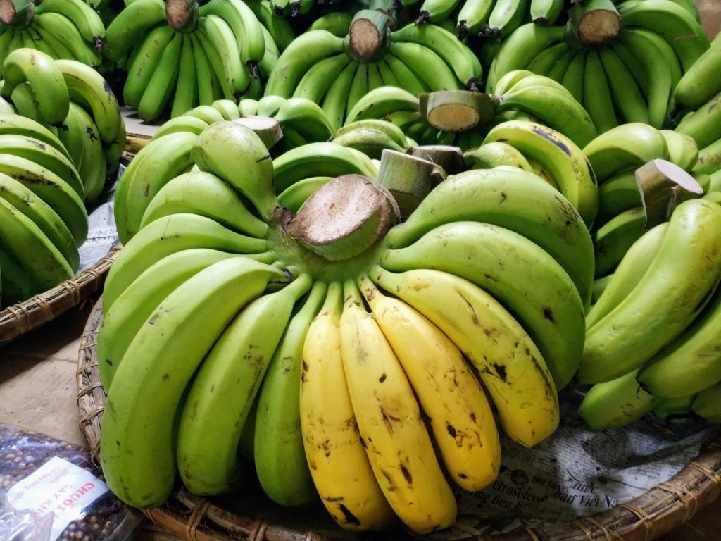 Green and yellow bananas are displayed.