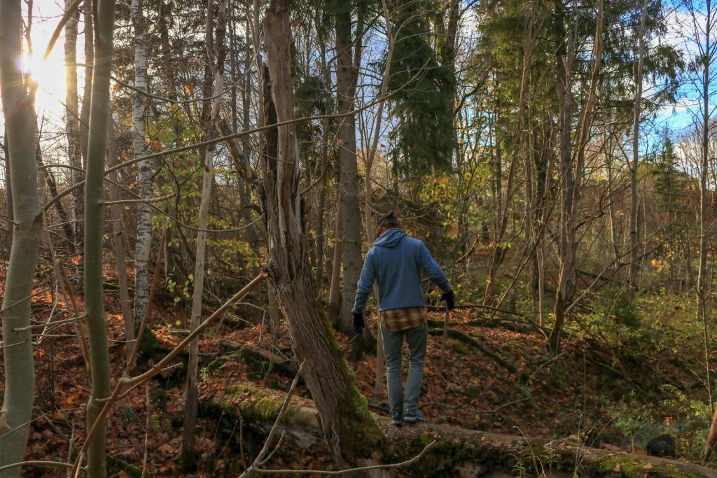 man wearing blue hoodie standing on fallen tree