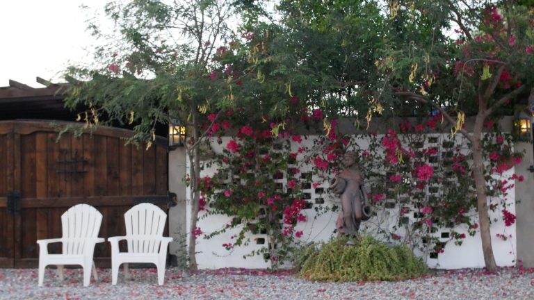 Two white adirondack chairs in front of a garden wall.