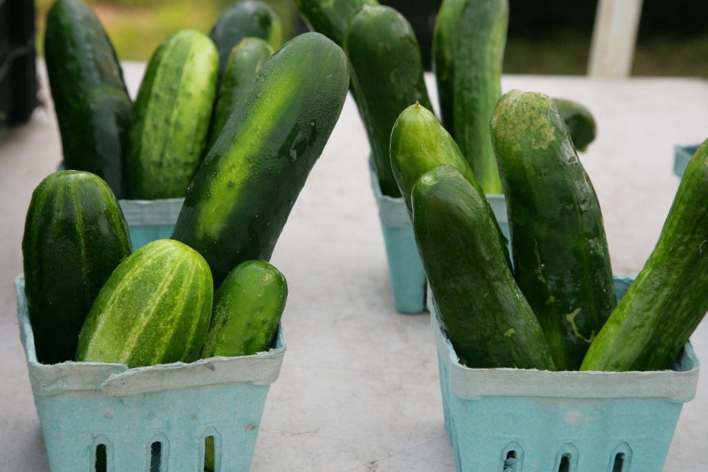 Fresh cucumbers are displayed in blue paper baskets.