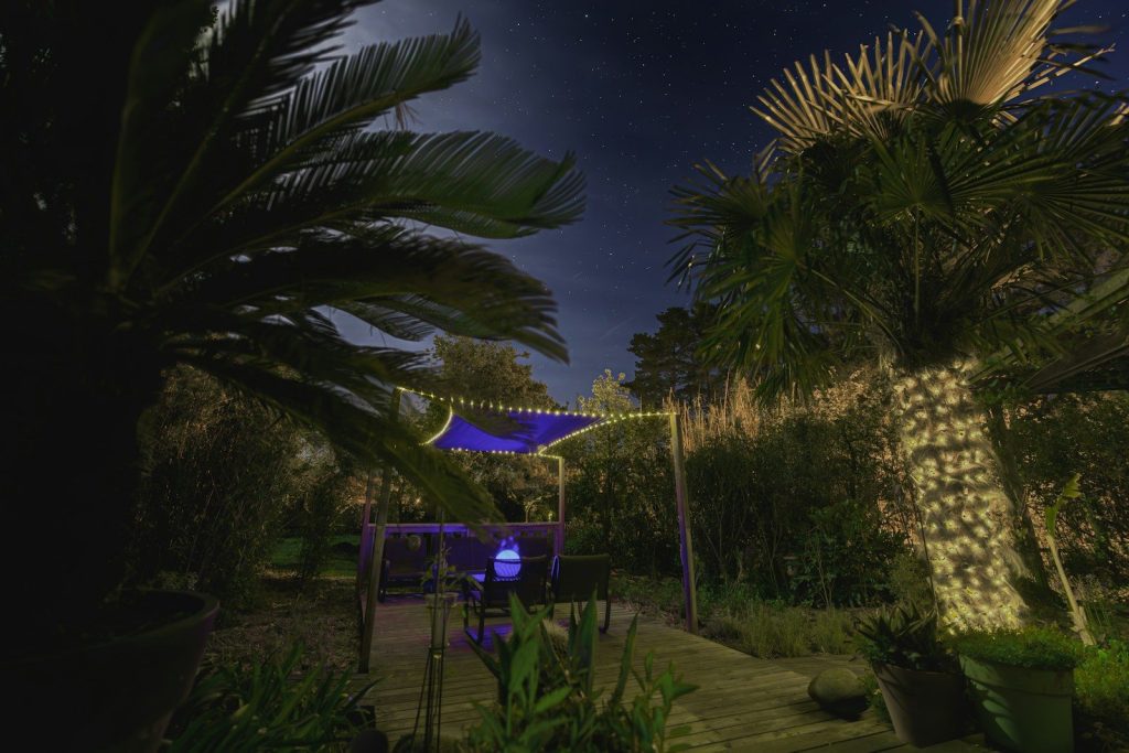 a night time view of a garden with a gazebo and palm trees