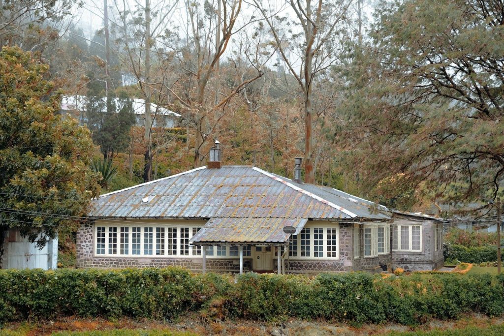 a house with a large roof