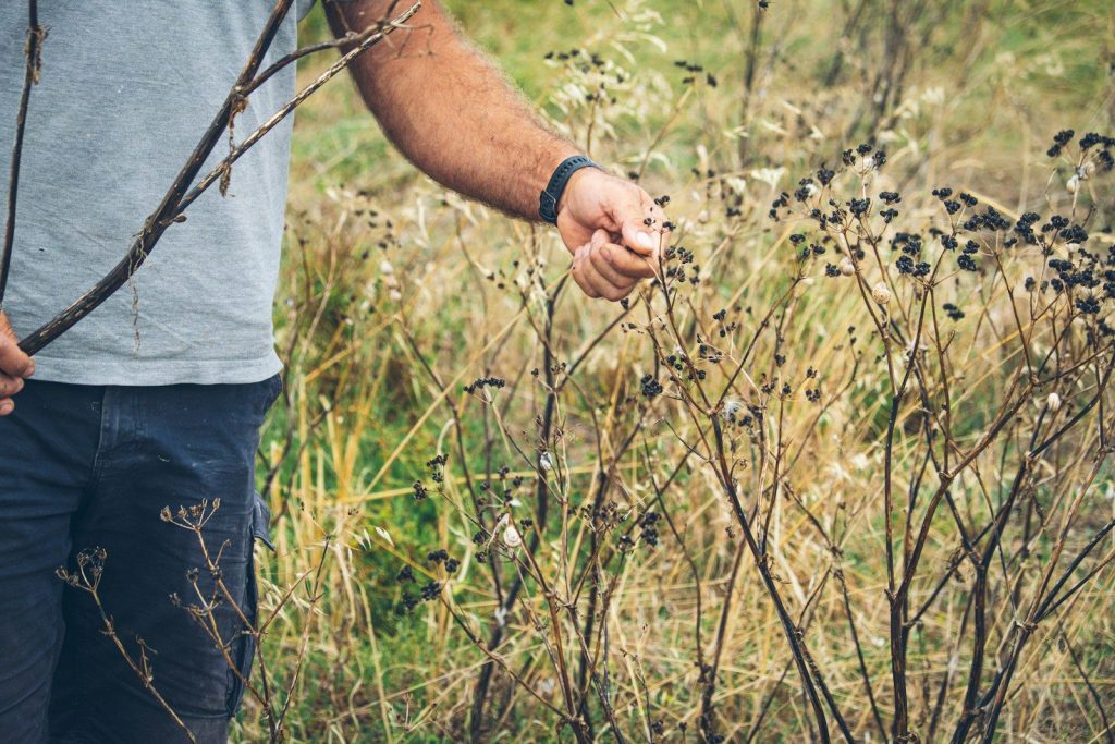a man holding a plant in a field