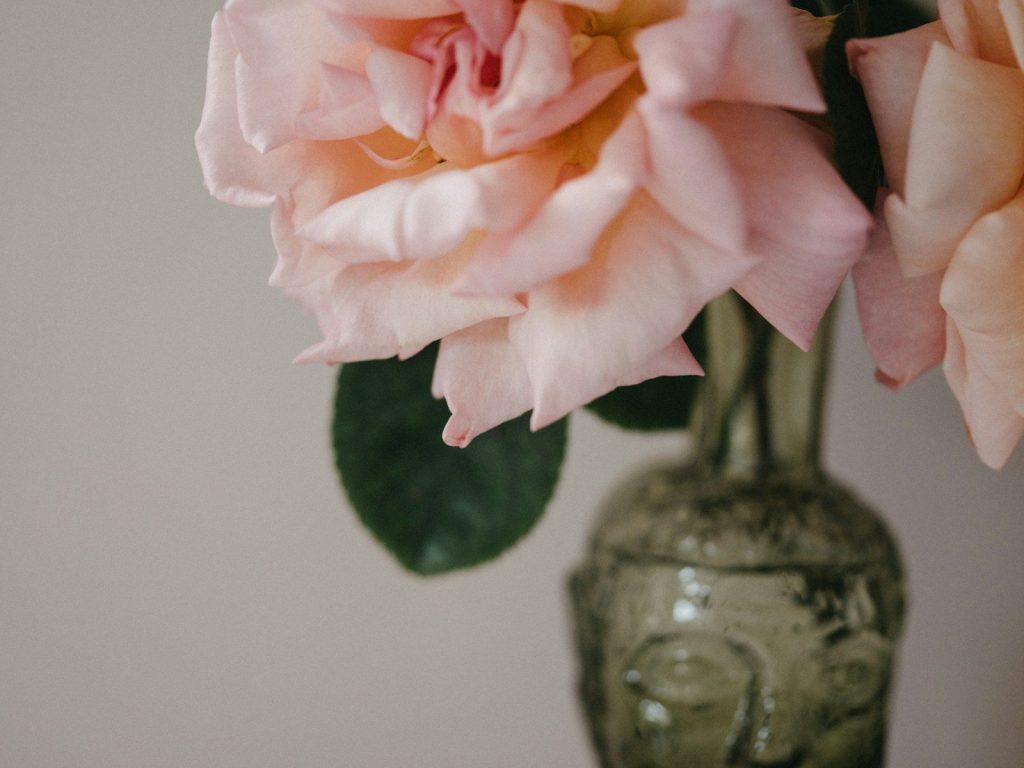 a close up of a flower in a vase