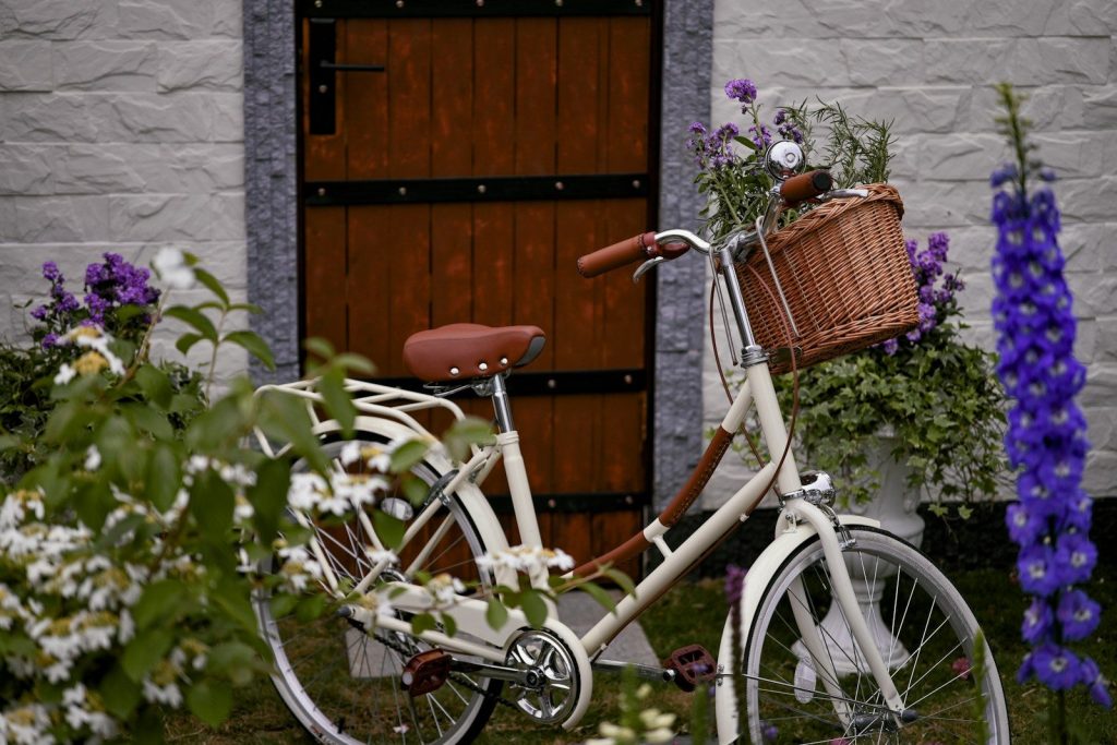 Cream bicycle with basket parked by wooden door and flowers.