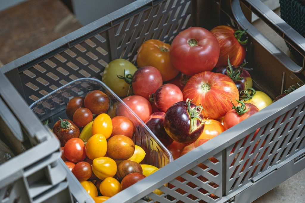 Fresh, ripe tomatoes fill these crates.