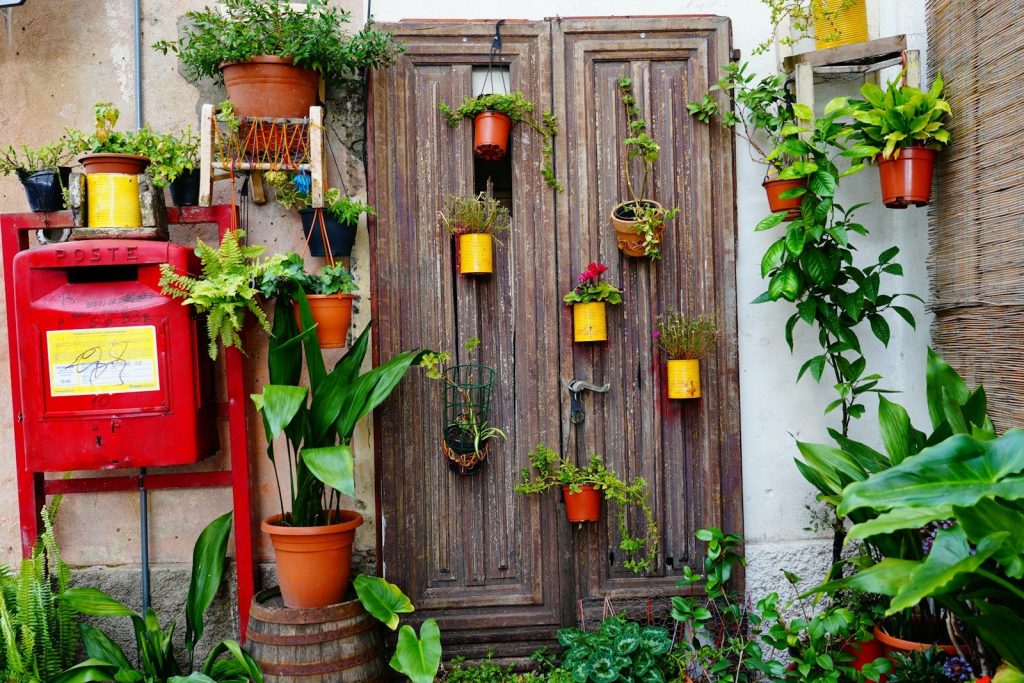 green and red plants on brown wooden door