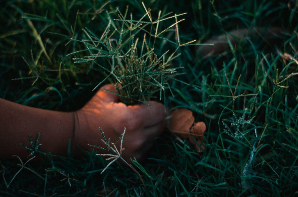 persons feet on green grass
