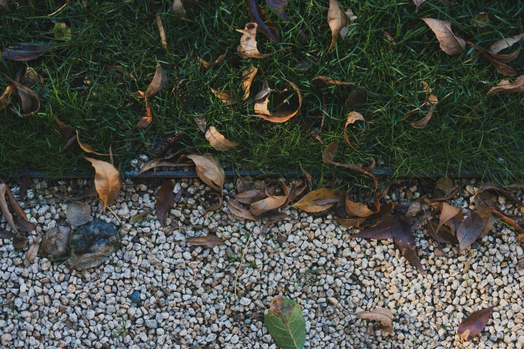 a close up of leaves and gravel on the ground