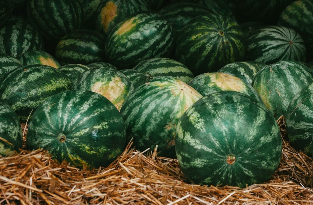 a pile of watermelons sitting on top of hay