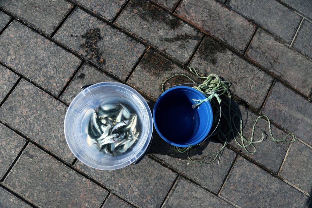 white and green plastic bucket
