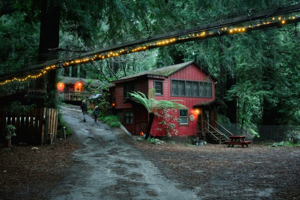 Red cabins nestled in a lush, green forest.
