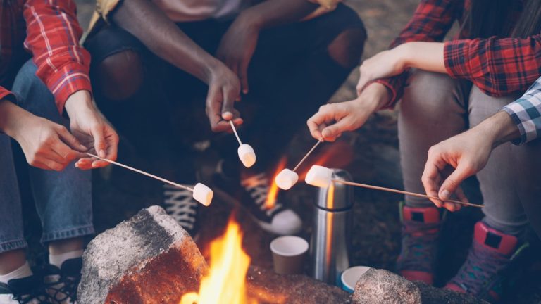 Friends roasting marshmallows over a campfire
