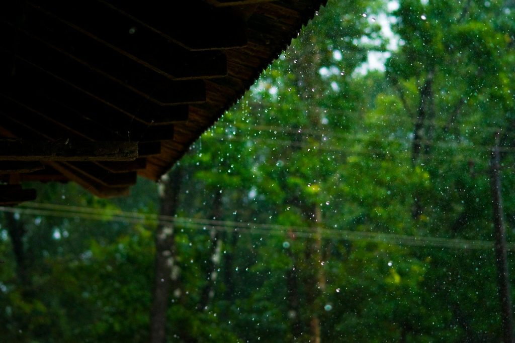 a view of a forest through a rain covered window