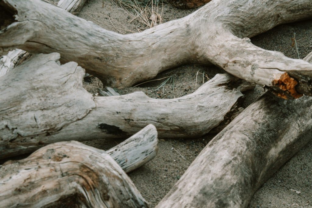 a group of logs