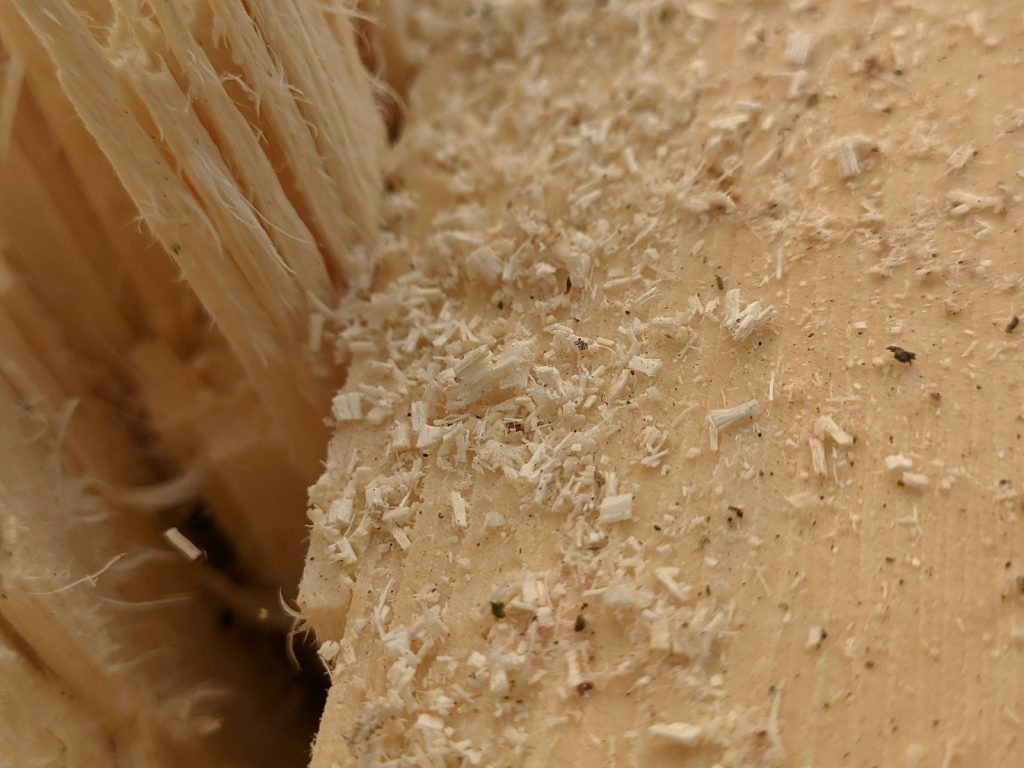 a close up of a banana that is peeling