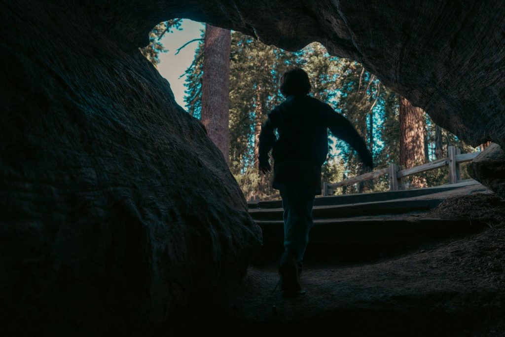 Person exits dark cave into a sunlit forest.
