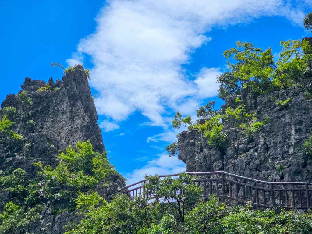 Rocky cliffs with lush green trees and a wooden walkway