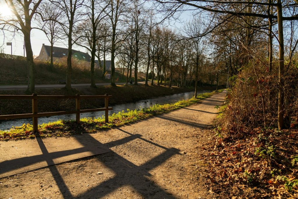 A pathway beside a canal with trees and sunlight