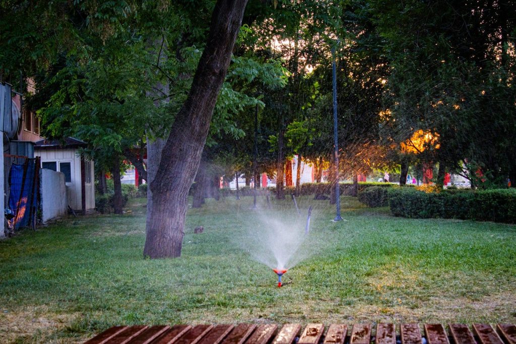 A sprinkler waters a green lawn under warm sunset light.